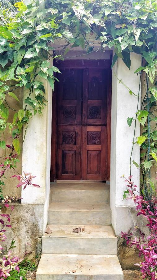 Sand Dollar House, Hiriketiya Dickwella Exterior photo